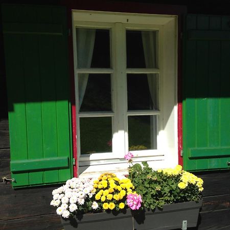 Ferienhaus Trausibauer Stainz Exterior foto